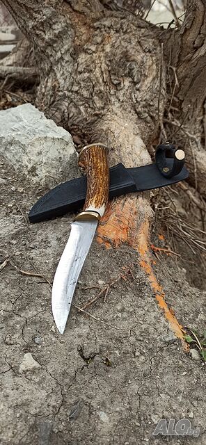 image_6