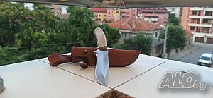 image_13