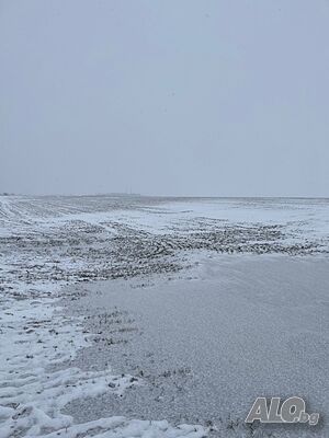 image_5