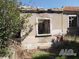 image_2