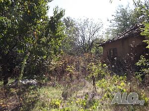 image_3