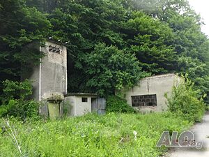 image_8