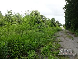 image_13