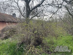 Публична продан от ЧСИ на Парцел в с. Камен ул. ”Панайот Хитов” № 16
