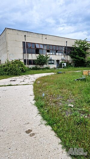 image_3