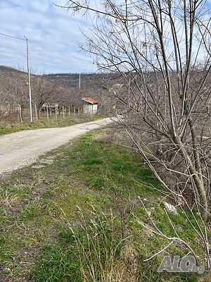 image_11