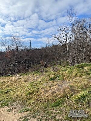image_12