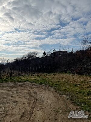 image_14