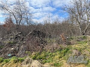 image_15