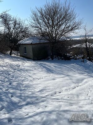 image_10