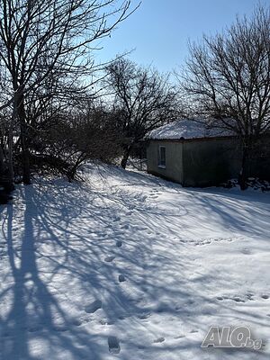 image_11