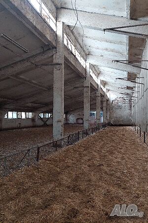image_3
