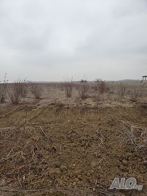 Публична продан от ЧСИ на Земеделска земя в с. Мало Конаре местност БУНАР АЛЧАК