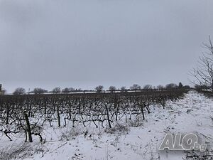 image_6