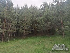 Публична продан от ЧСИ на Земеделска земя в с. Петково с. Петково, м. Лъките