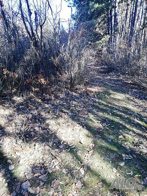 image_10