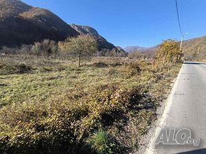 image_3