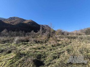image_3