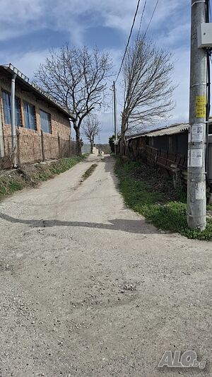 image_6