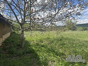 image_7