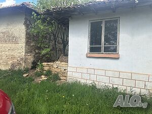 image_11