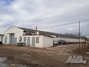 image_2