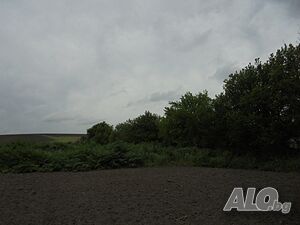image_3