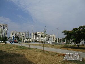image_11