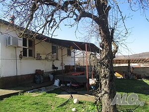 image_5