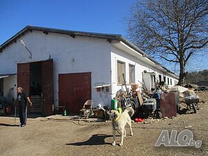 image_13