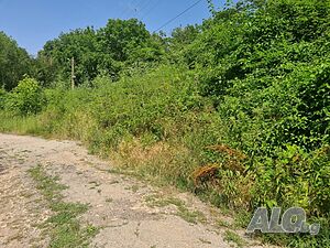 image_3
