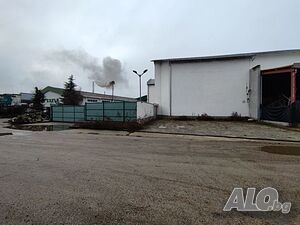 image_6