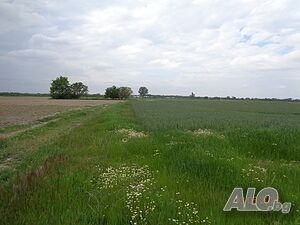 Публична продан от ЧСИ на Земеделска земя в с. Труд с. Труд, местност Гарваница