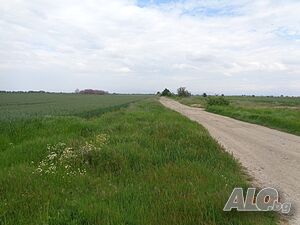 image_2