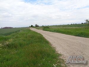 image_8
