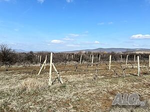 image_7