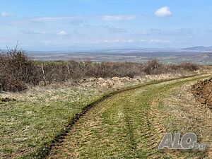 image_10