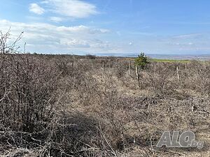 image_14