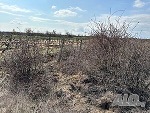 image_15