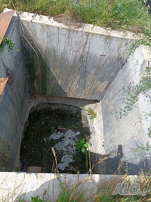 image_9
