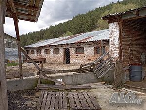 image_10