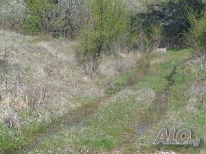 image_3