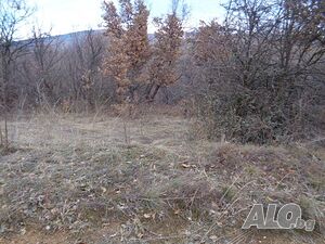 image_2