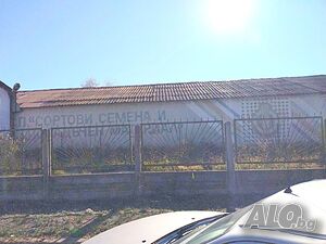 image_6