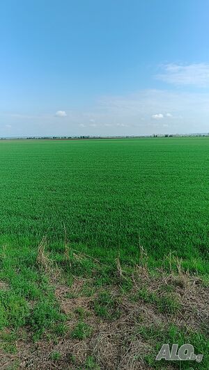 Публична продан от ЧСИ на Земеделска земя в с. Избеглии с. Избеглии, местност Дръндарица