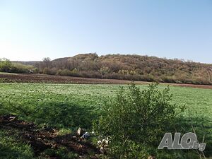 Публична продан от ЧСИ на Земеделски имот в с. Долина