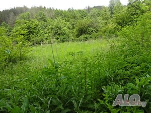 image_14
