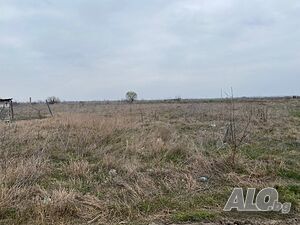Публична продан от ЧСИ на Земеделска земя в с. Рогош с. Рогош, местност ТРЪНКИТЕ