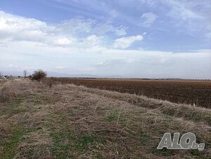 Публична продан от ЧСИ на Земеделска земя в с. Голям чардак