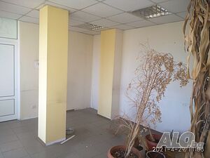 image_11